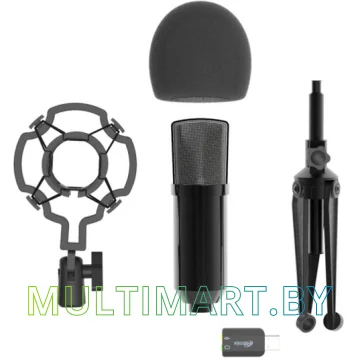 Микрофон Ritmix RDM-160 картинка 4